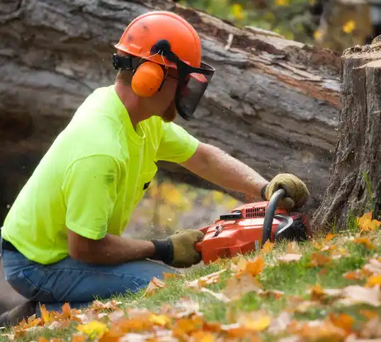 tree services Hendersonville